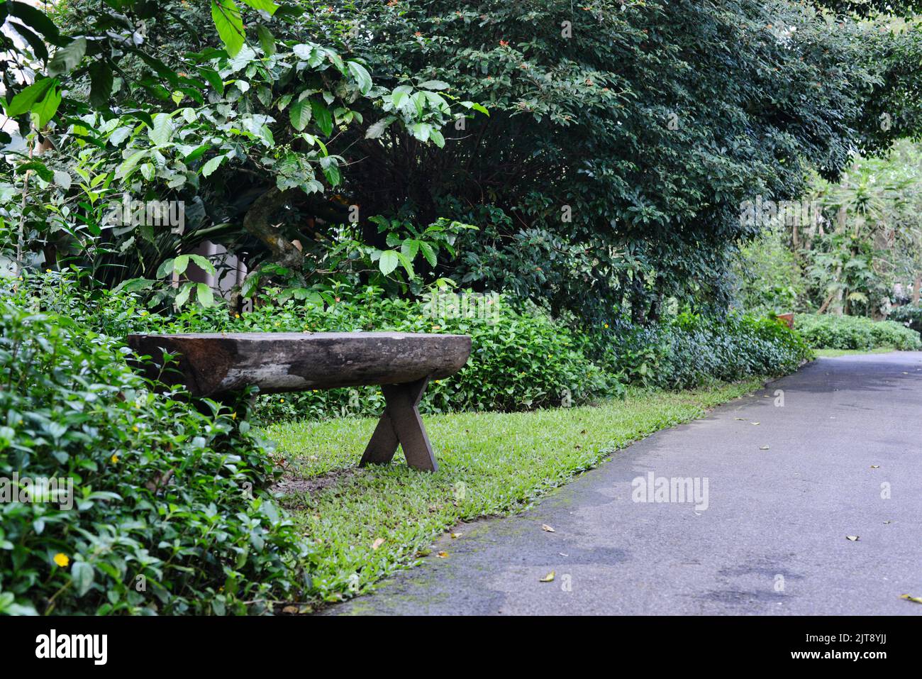 Una panca di legno lungo un sentiero in un parco tropicale Foto Stock
