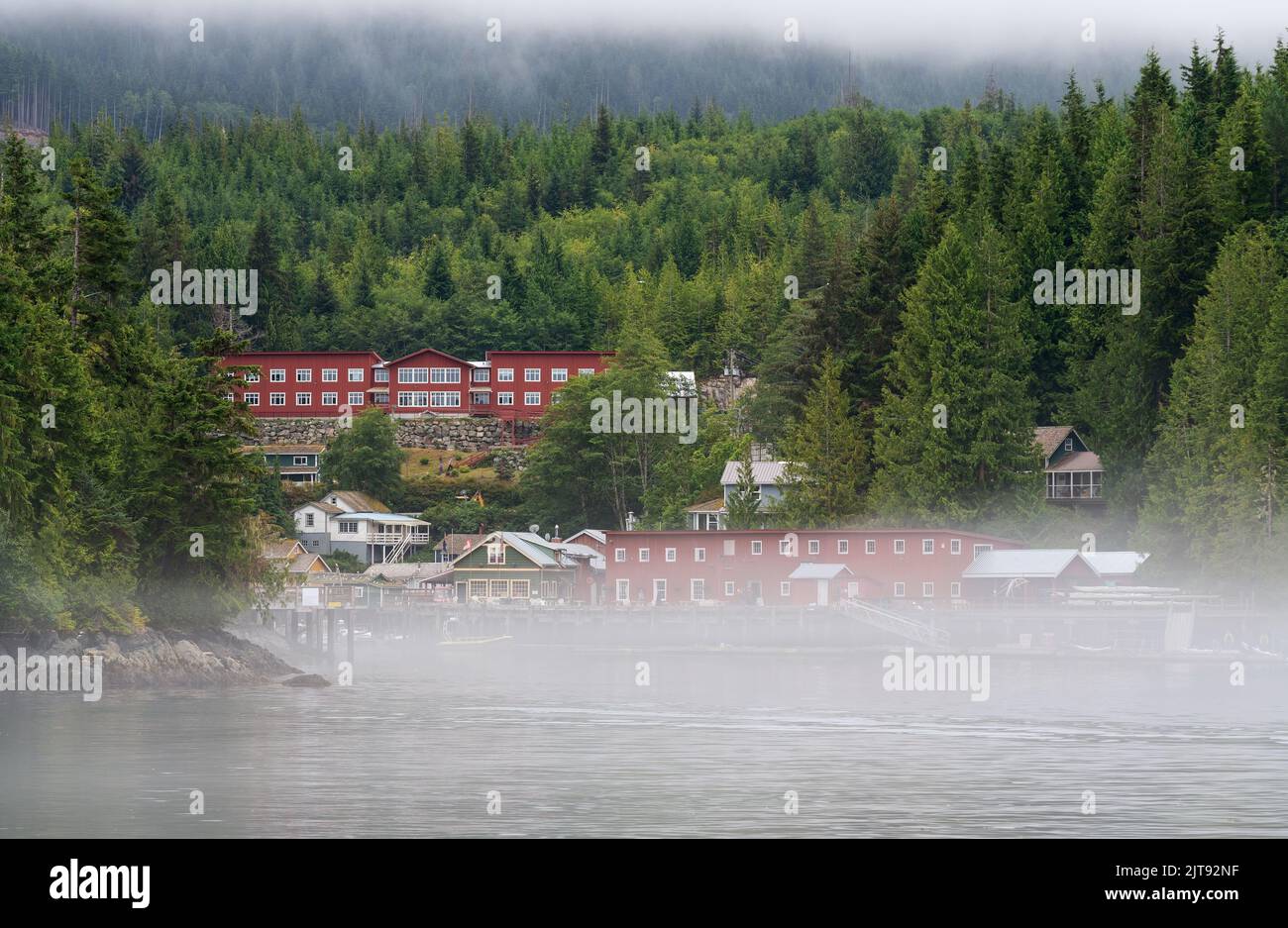 Telegraph insenatura in nebbia e nebbia, Vancouver Island, British Columbia, Canada. Foto Stock