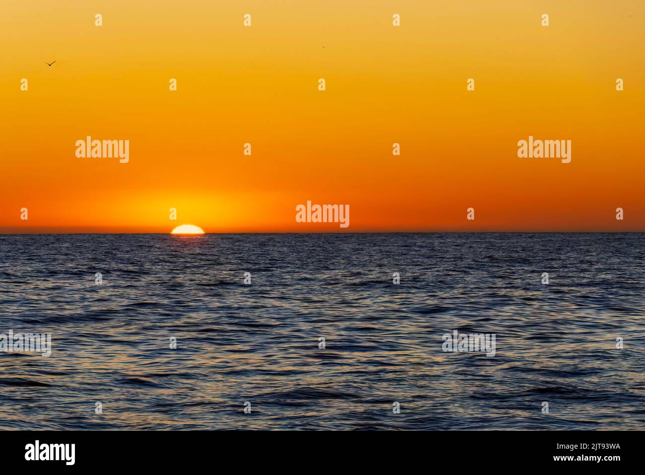 Incredibile tramonto sull'Oceano Atlantico. Il sole riflesso nelle onde. Sudafrica Foto Stock