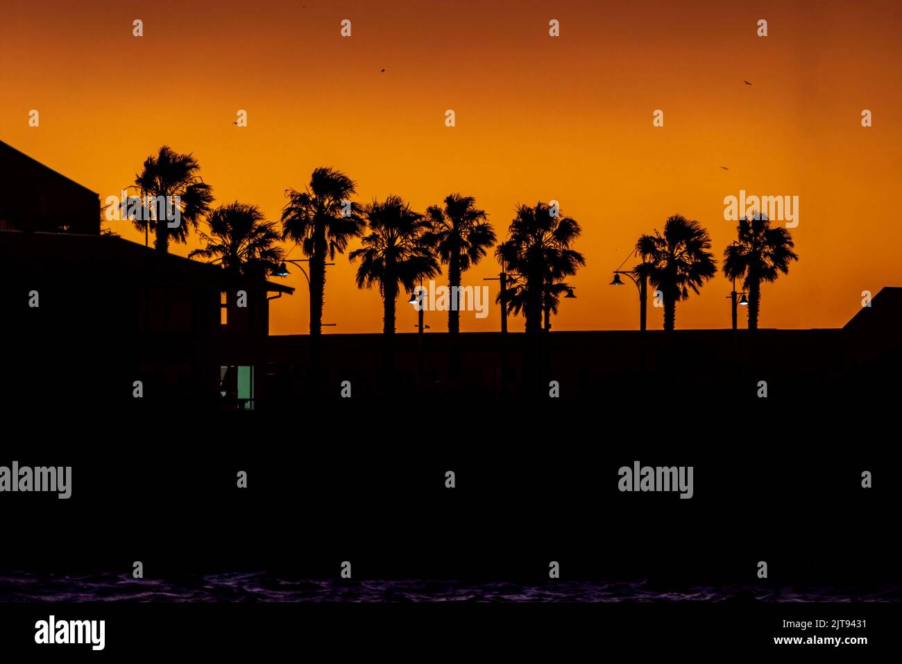 Le palme si sono definite in modo deciso contro gli audaci colori arancione e rosa di un cielo al tramonto Foto Stock