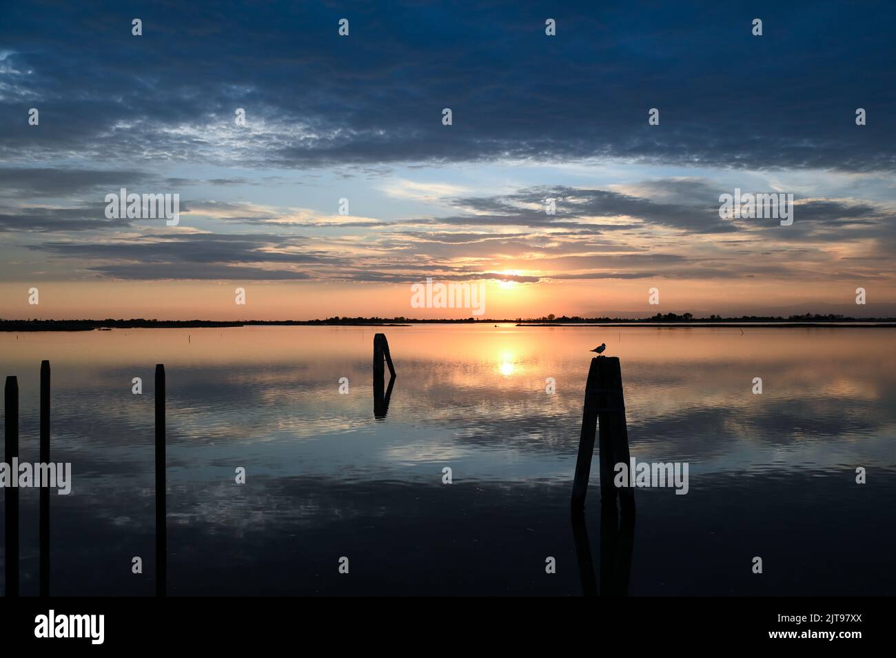 Lago tranquillo con pali e uccello situato contro cielo nuvoloso tramonto in serata nella natura Foto Stock