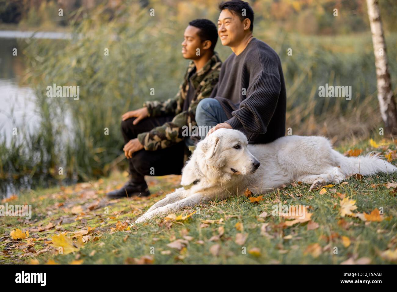 Uomo carezza cane e guardare via in natura in autunno Foto Stock