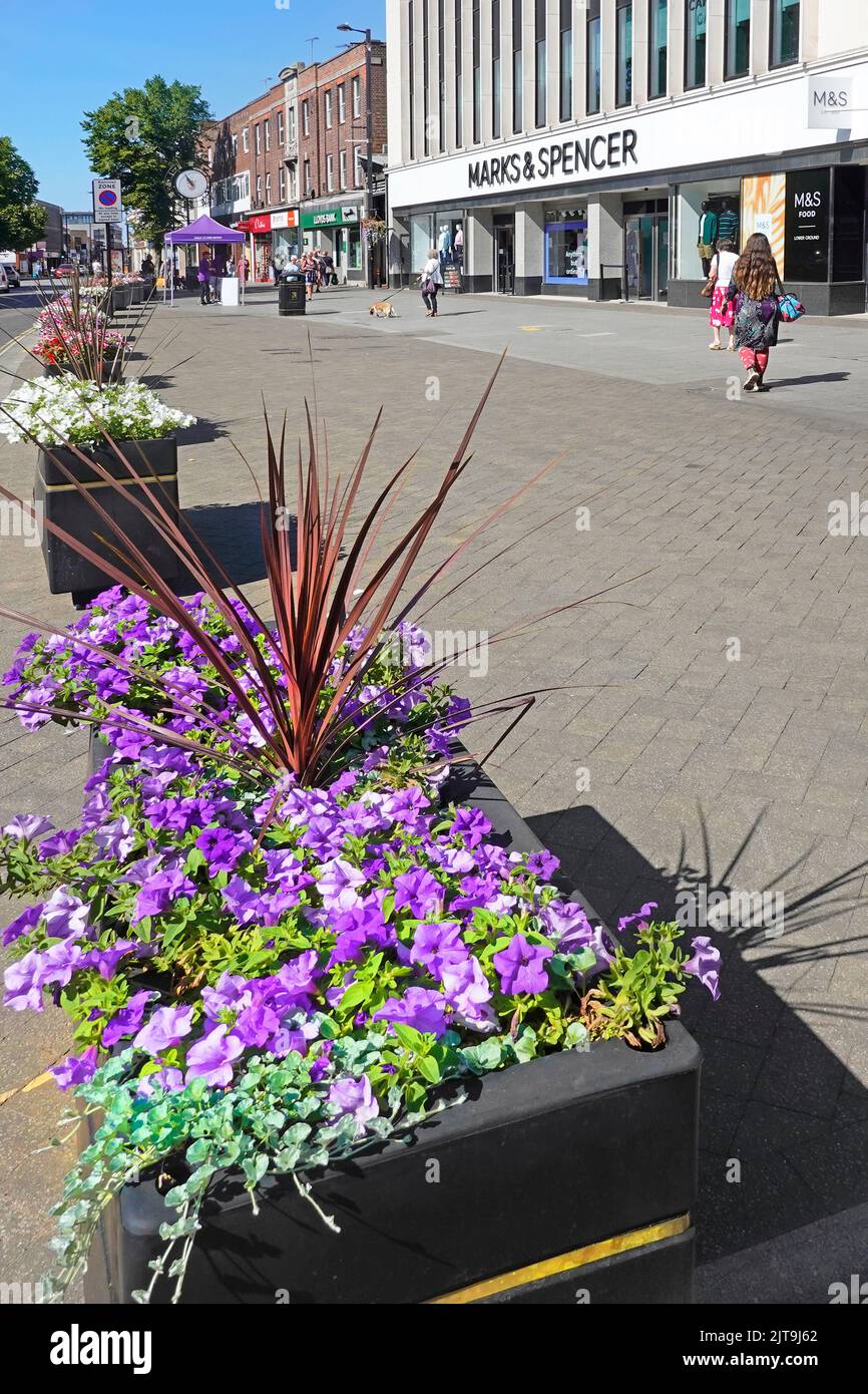 Fiori estivi colorati in una lunga fila di scatole di piantatrici rettangolari che proteggono la pavimentazione larga e gli acquirenti dal parcheggio illegale Brentwood Essex Inghilterra Regno Unito Foto Stock