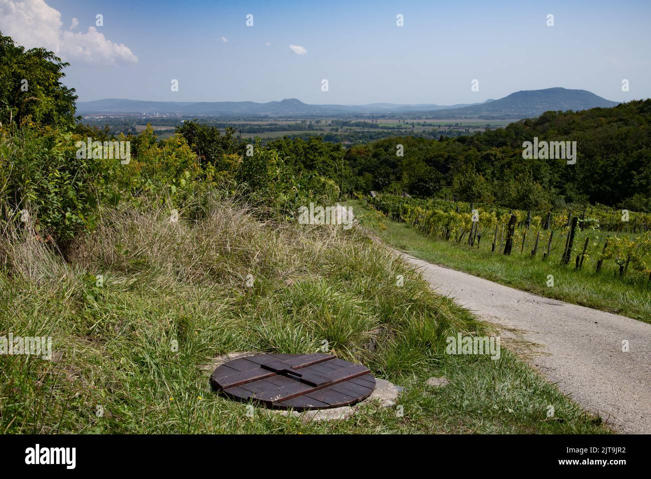 Campagna ungherese in paesaggio rurale Foto Stock