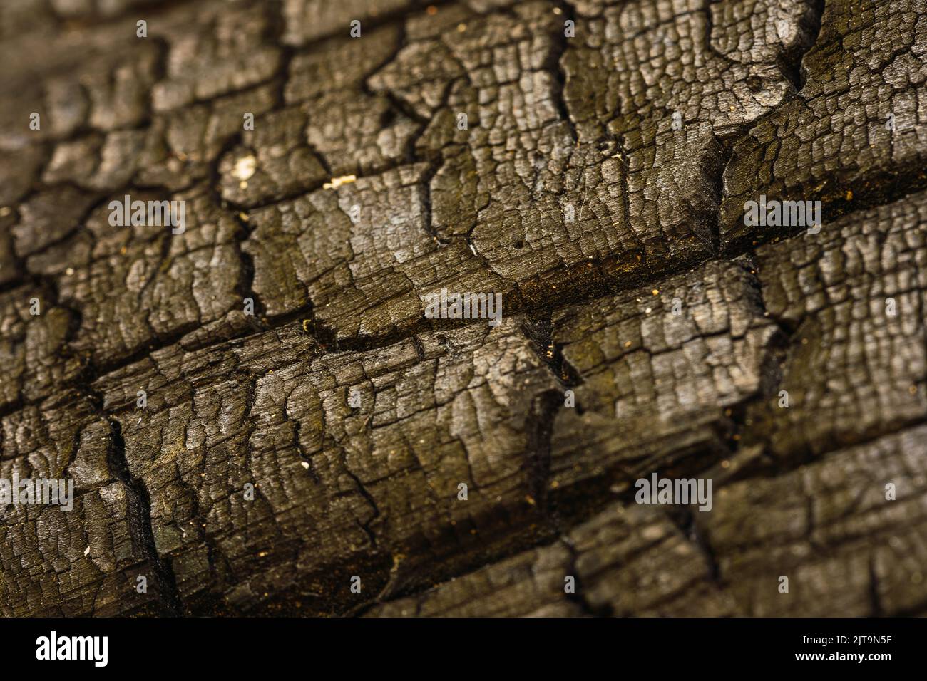 Struttura in legno bruciata. Dettagli sulla superficie in carbonio. Sfondo nero Foto Stock