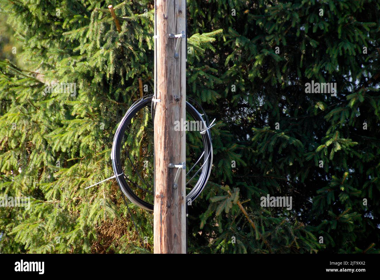 Bobine di cavo in fibra ottica su palo telegrafico in attesa di installazione Foto Stock