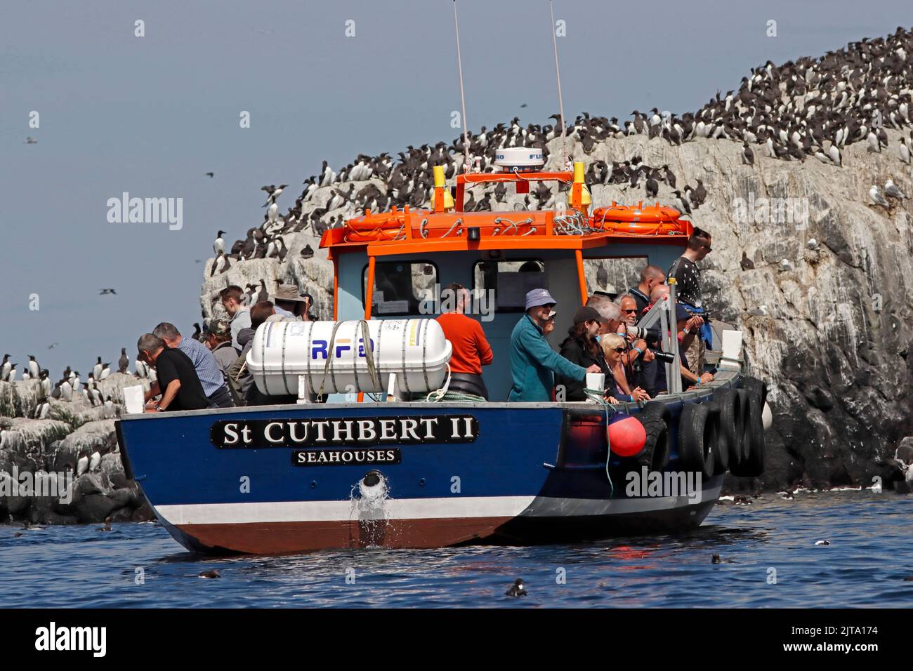 I viaggiatori in barca da diporto godono dello spettacolo di una colonia di uccelli marini, Regno Unito. Foto Stock