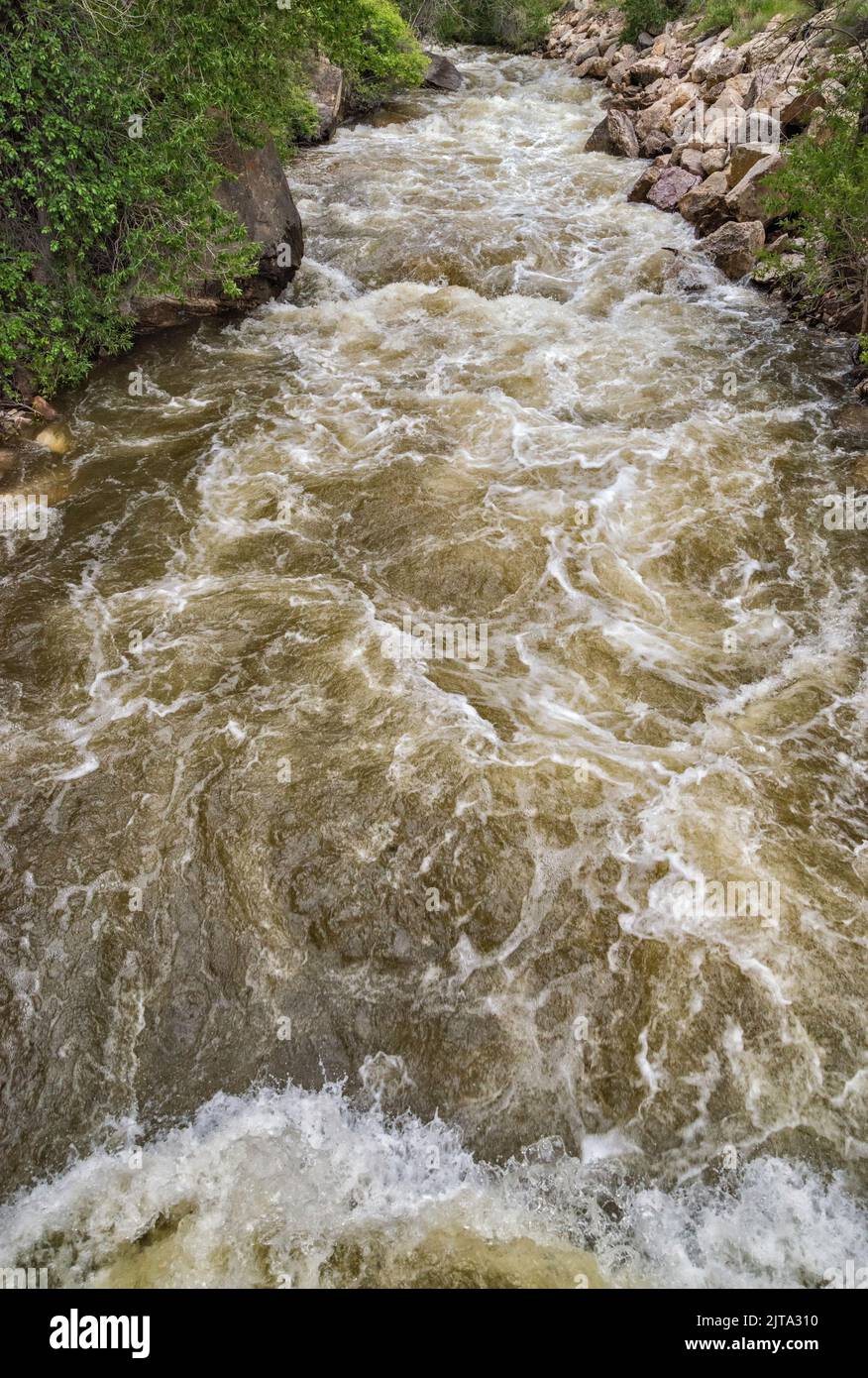 Rapide di Shell Creek, Shell Canyon, Bighorn Mountains, Bighorn National Forest, Wyoming, STATI UNITI Foto Stock Rapide di Shell Creek, Shell Canyon, Bighorn Mountains, Bighorn National Forest, Wyoming, STATI UNITI Foto Stock