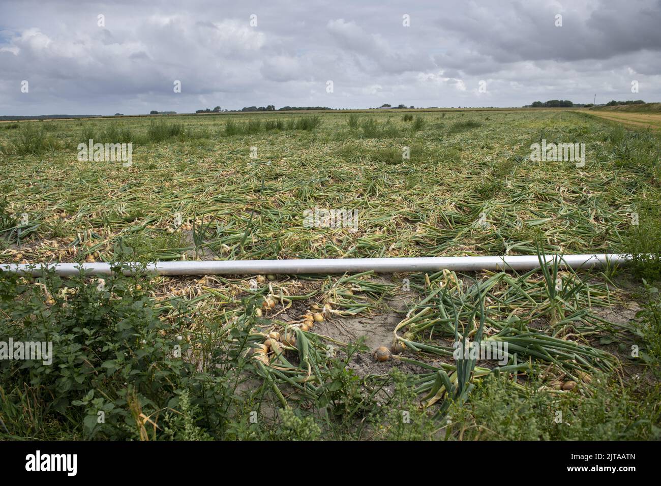 2022-08-29 13:07:14:19 GRONINGEN - campo presso la caserma Zoutkamp dove un luogo di accoglienza di emergenza è stato realizzato per i richiedenti asilo che hanno riferito a Ter Apel. ANP JILMER POSTMA netherlands OUT - belgium OUT Foto Stock