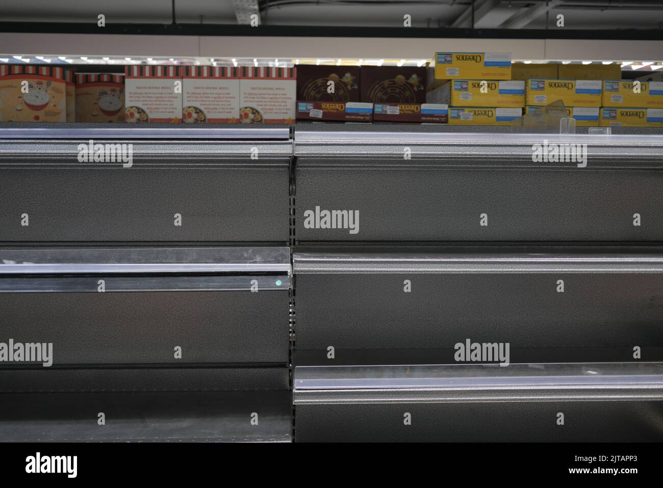 Scaffali vuoti per supermercati, fuoco selettivo Foto Stock