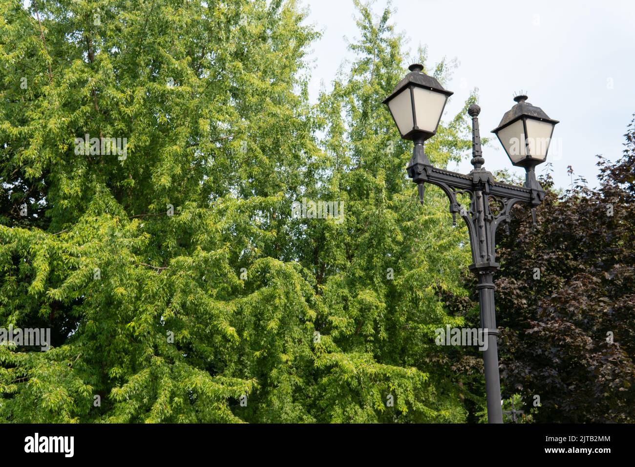 Lampada luce strada lanterna città elettricità città urbana moderna, da illuminazione lampione in colonna da illustrazione antica, cartoon giallo Foto Stock