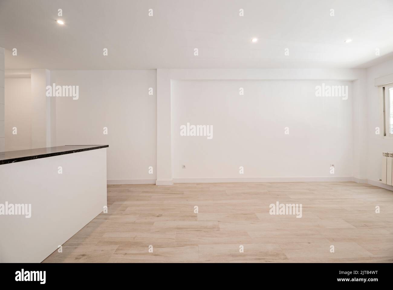 Soggiorno vuoto con pavimento in legno duro chiaro, pareti dipinte di bianco e isola con piano in marmo nero Foto Stock