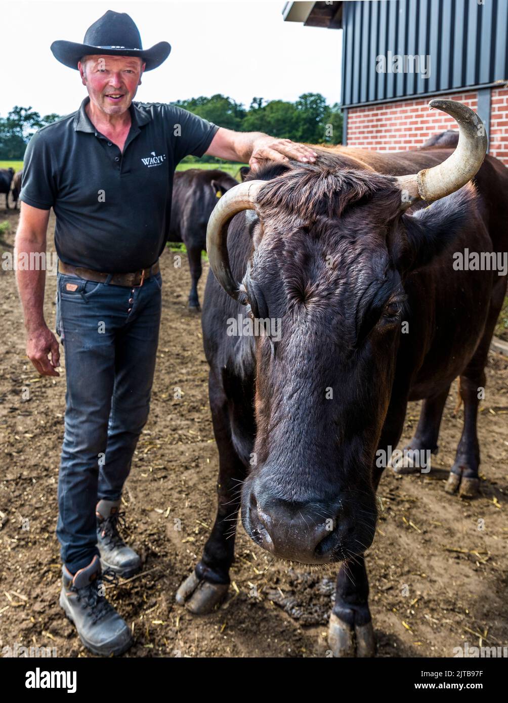L'allevatore di Wagyu Wilfried Nijhof è in piedi accanto a Likka, la sua prima mucca Wagyu, nella fattoria "Wagyukoe" a Delden, comune di Hof van Twente, Paesi Bassi. Il corno distintivamente storto della mucca è diventato il logo della sua fattoria di allevamento. Foto Stock