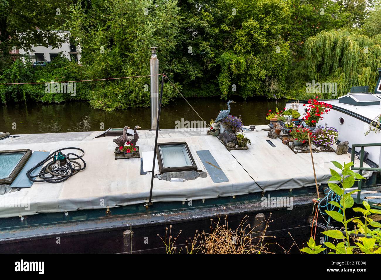 Canali con case galleggianti a Zwolle, Paesi Bassi Foto Stock