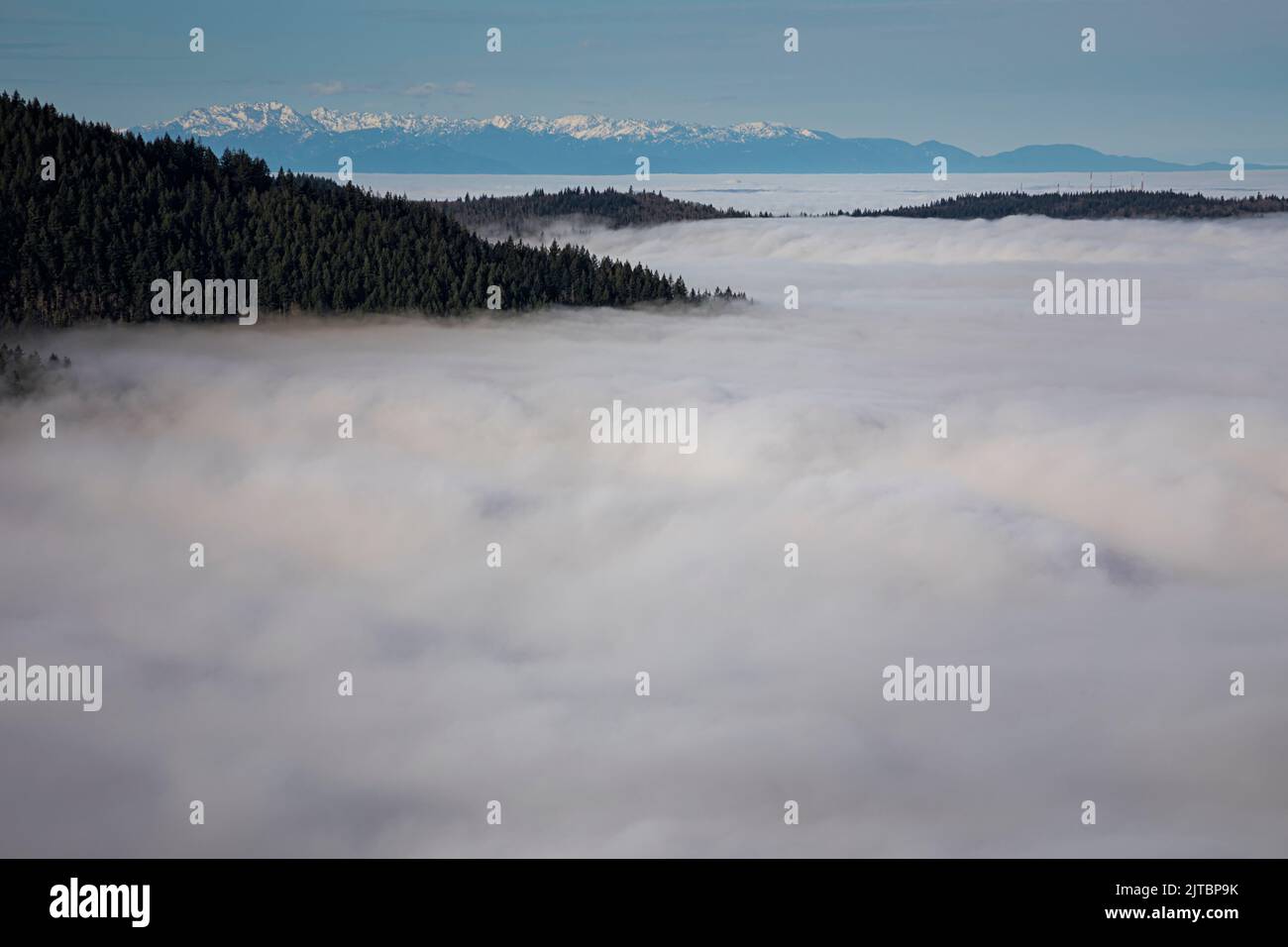 WA21909-00...WASHINGTON - nebbia Lowland che copre il Puget Sound Basin con vista di Cougar Mountain e le Olympic Mountains da Poo Poo Point nel Foto Stock