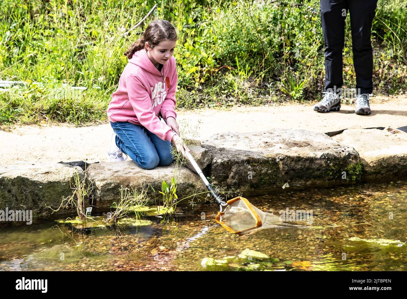 Giovane ragazza amante della natura che si gode una sessione di immersione in stagno in una riserva naturale locale nel West Yorkshire durante l'estate Foto Stock