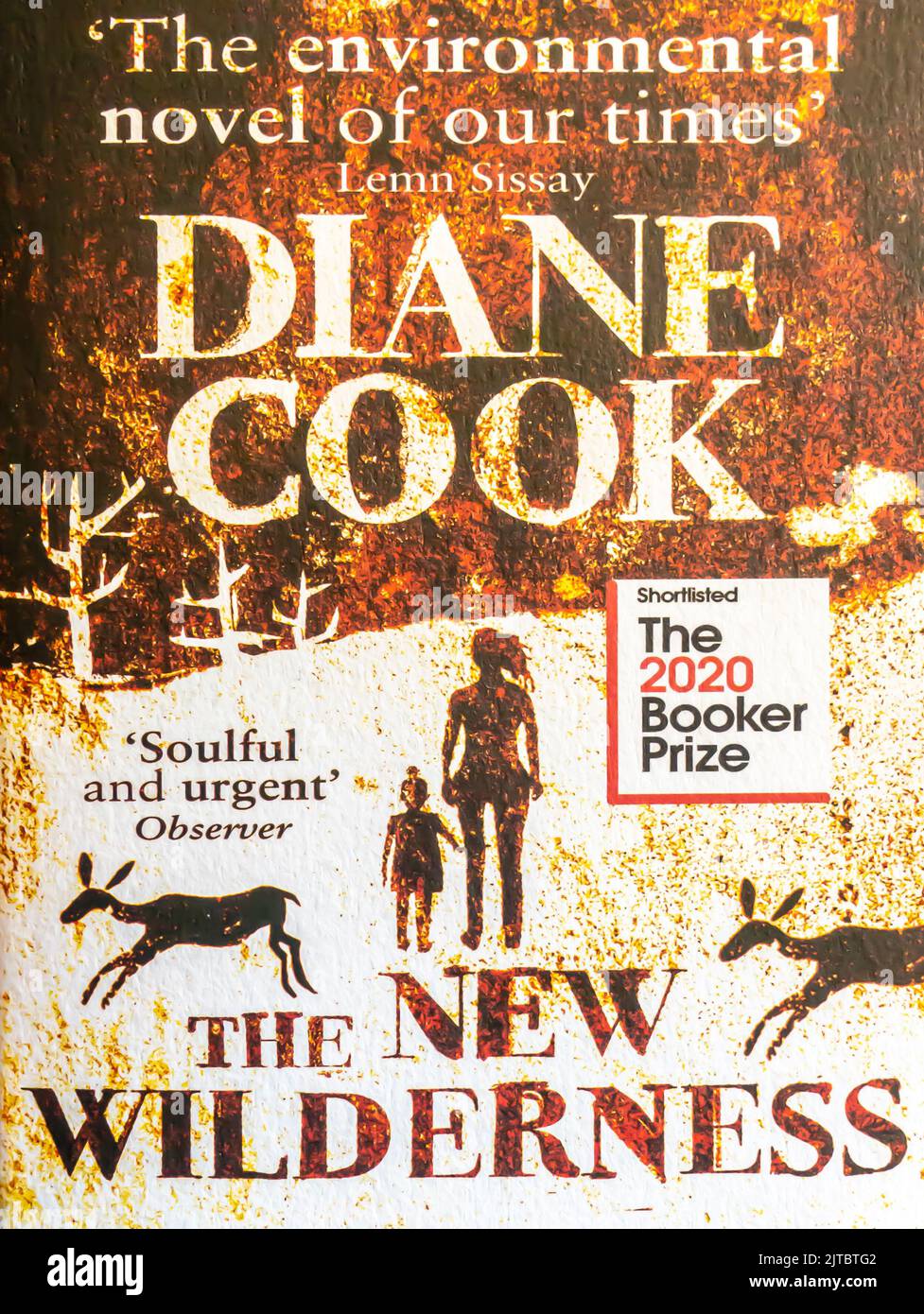 The New Wilderness romanzo di Diane Cook. 2020. Copertina del libro Foto Stock