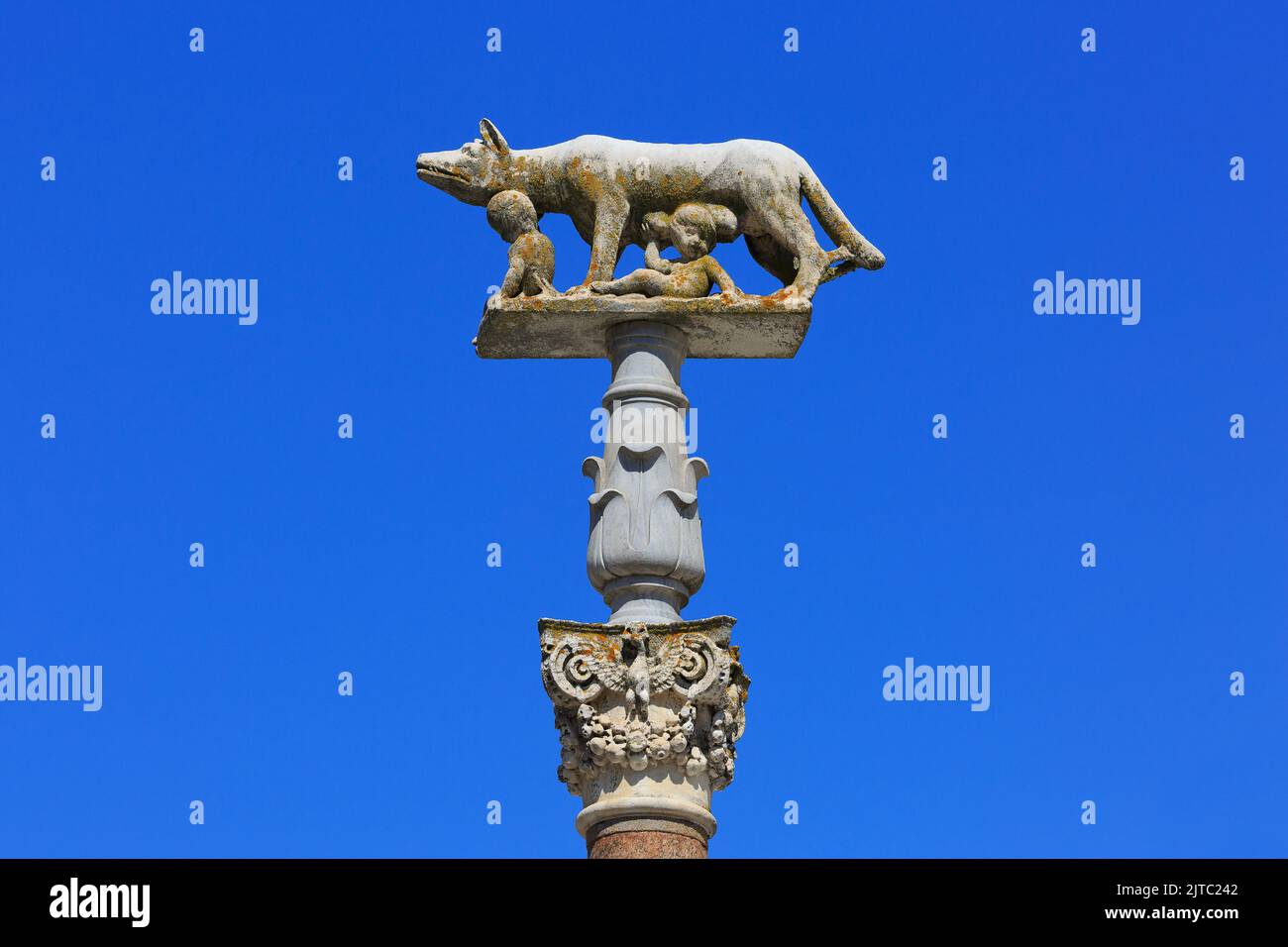 Il Lupo Capitolino succhia Romolo e Remo in Piazza del Duomo a Siena (Toscana) Foto Stock