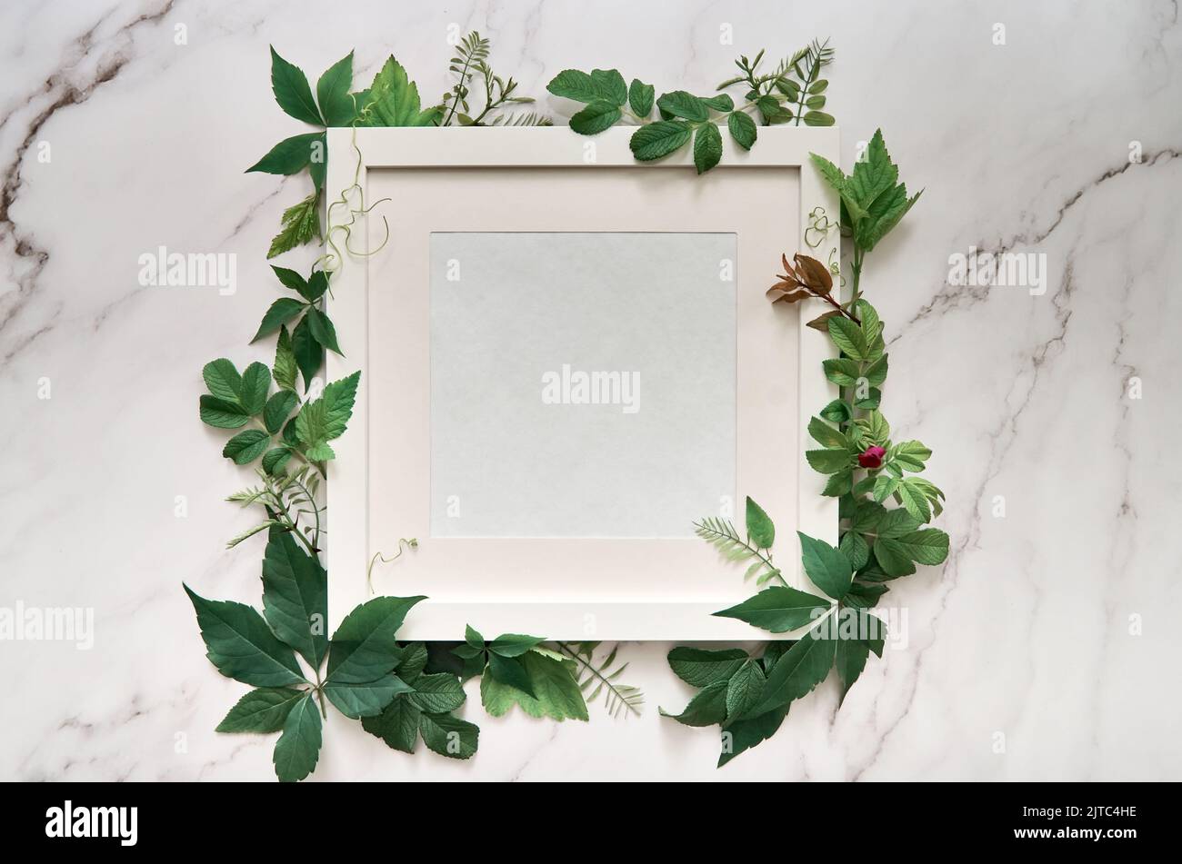 Cornice bianca per annunci di prodotti cosmetici con foglie verdi su piano tavolo in marmo. Foto Stock