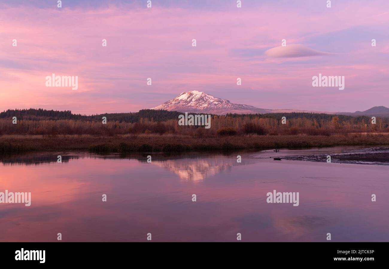 Splendida vista Golden Hour del monte Adams da Trout Lake Meadows nello stato di Washington, Stati Uniti Foto Stock