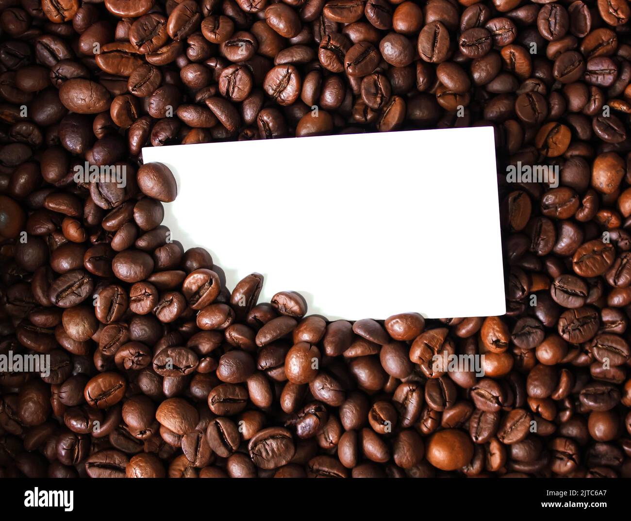 Scheda bianca vuota per il testo su foto di primo piano di sfondo in chicchi di caffè Foto Stock
