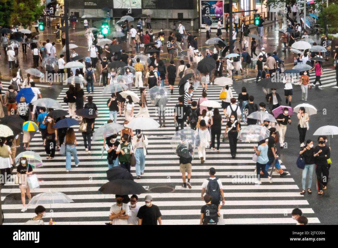 I pedoni con ombrelloni attraversano l'incrocio multidirezionale, conosciuto come Shibuya Crossing nel quartiere Shibuya, Tokyo, Giappone. L'incrocio è considerato l'incrocio pedonale più trafficato del mondo. Foto Stock