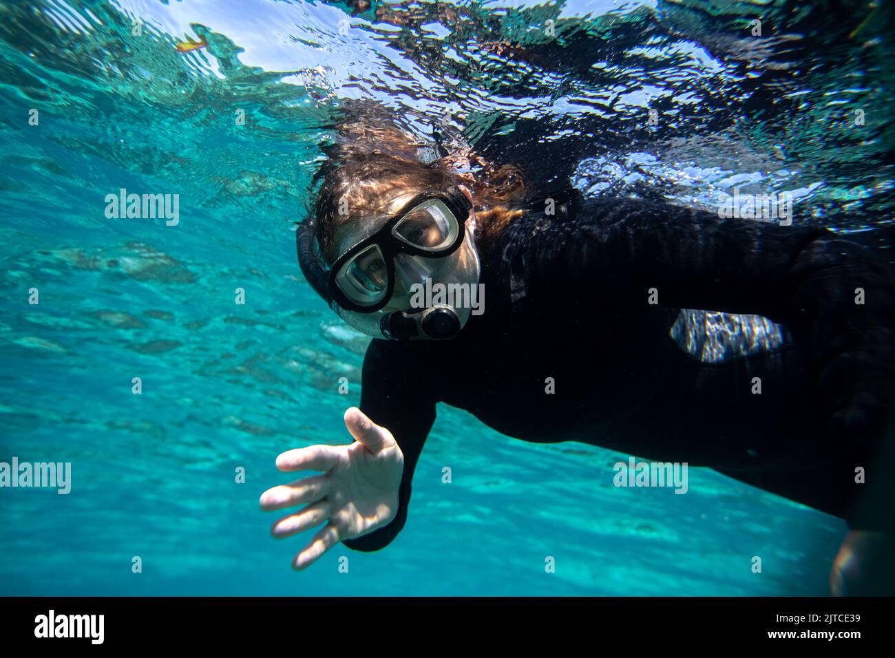 Giovane donna in muta di snorkeling al largo della costa di Hopkins in Belize Foto Stock