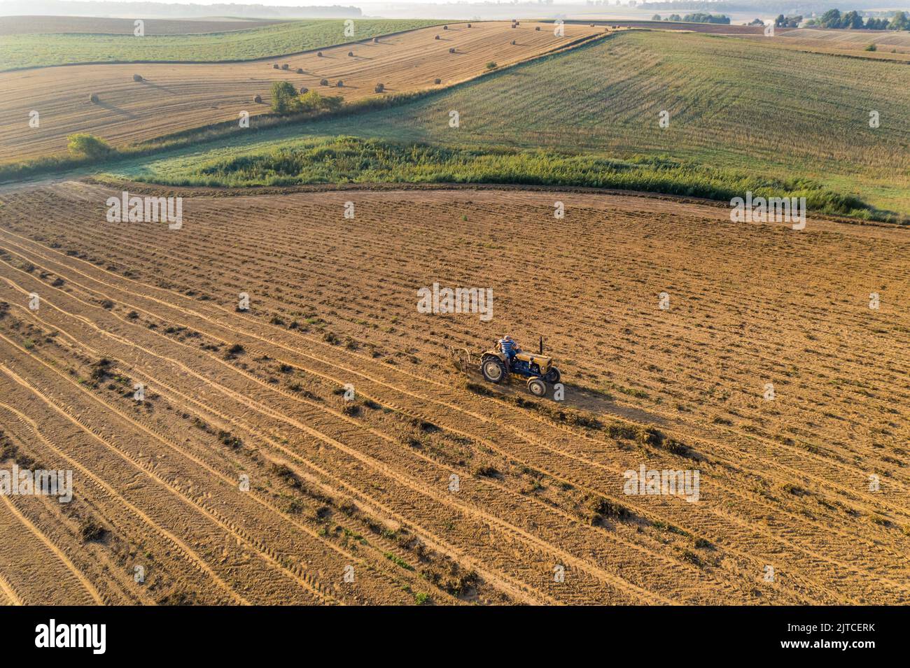 Trattore blu su piantagione di fagioli circondato da campi verdi sullo sfondo. Industria alimentare e agricoltura. Scatto orizzontale. Foto di alta qualità Foto Stock