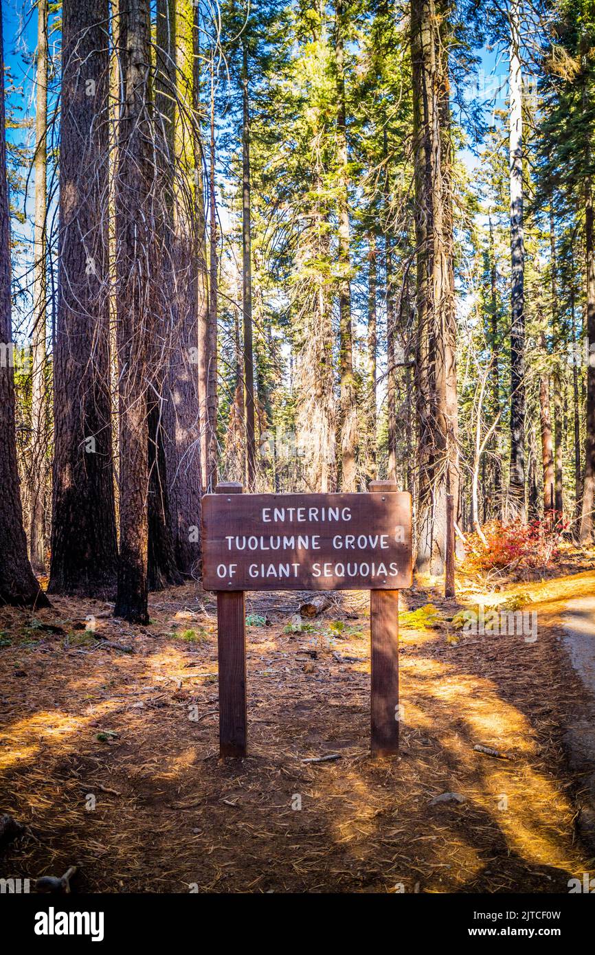 Una scheda descrittiva per il sentiero in Yosemite NP, Tioga Road Foto Stock