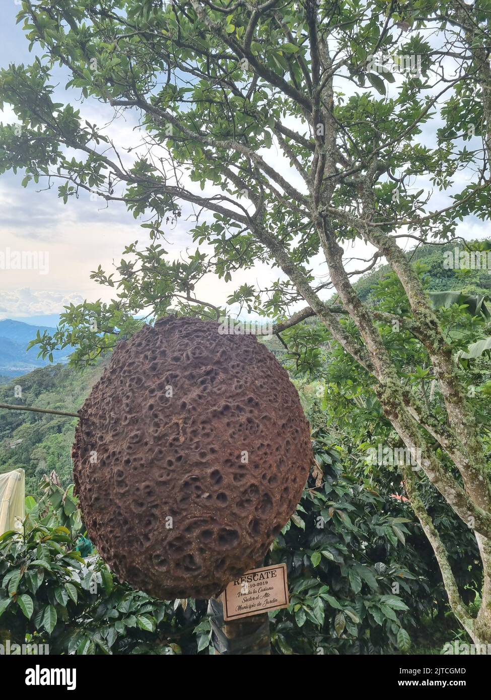Paesaggi incredibili di Jardin Colombia vista della Colombia Foto Stock