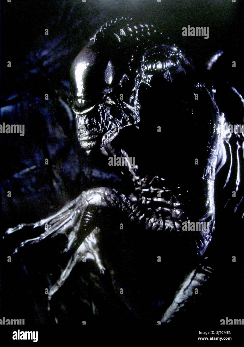 ALIEN, Aliens Vs. PREDATOR: Requiem, 2007 Foto Stock