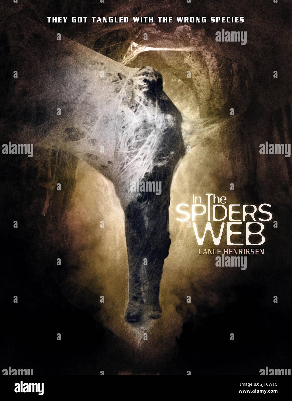 POSTER DEL FILM, NEL WEB DEL RAGNO, 2007 Foto Stock