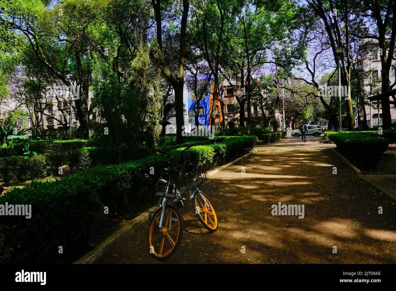 Parque Mexico in quartiere ricco, Città del Messico, Messico, CDMX Foto Stock