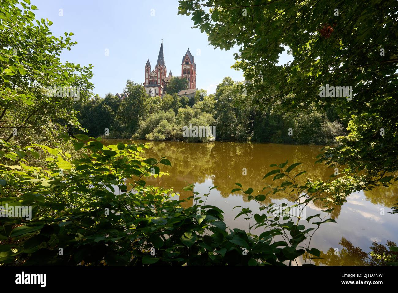 Limburgo, Germania. 03rd ago, 2022. L'isola della serratura nel Limburgo. La vista della Cattedrale di Limburgo è bloccata da spine e cespugli troppo grandi. L'isola di Limburgo ha una posizione di primo piano, ma evoca un'esistenza oscura. (A dpa: Lahn Island deve essere risvegliata dal suo sonno) Credit: Thomas Frey/dpa/Alamy Live News Foto Stock