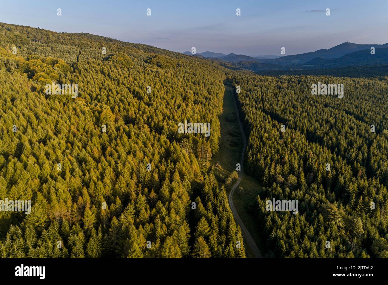 Beskid Niski, Polonia. Foto Stock