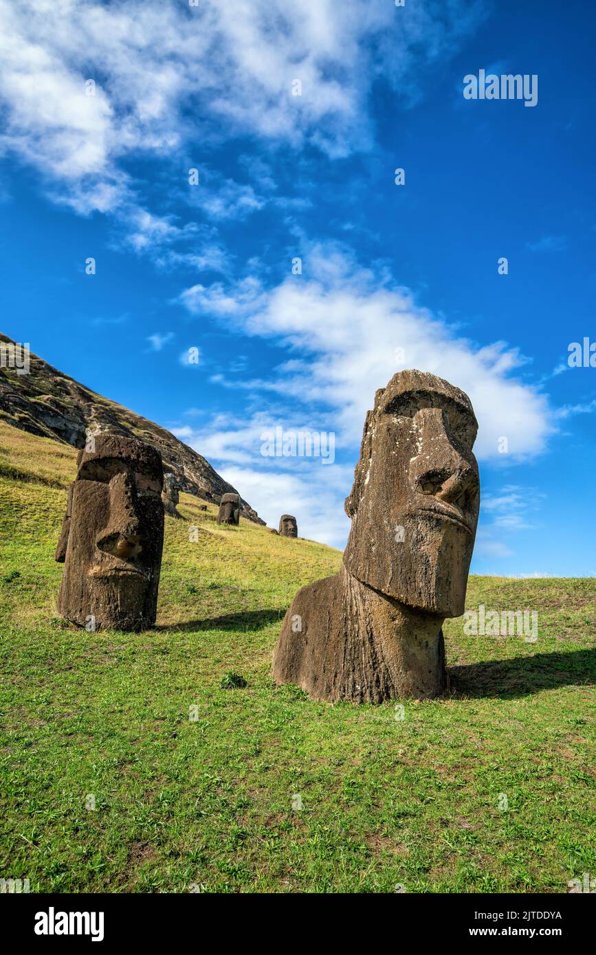 Statue Moai nel vulcano Rano Raraku nell'isola di Pasqua, Cile con cielo blu Foto Stock