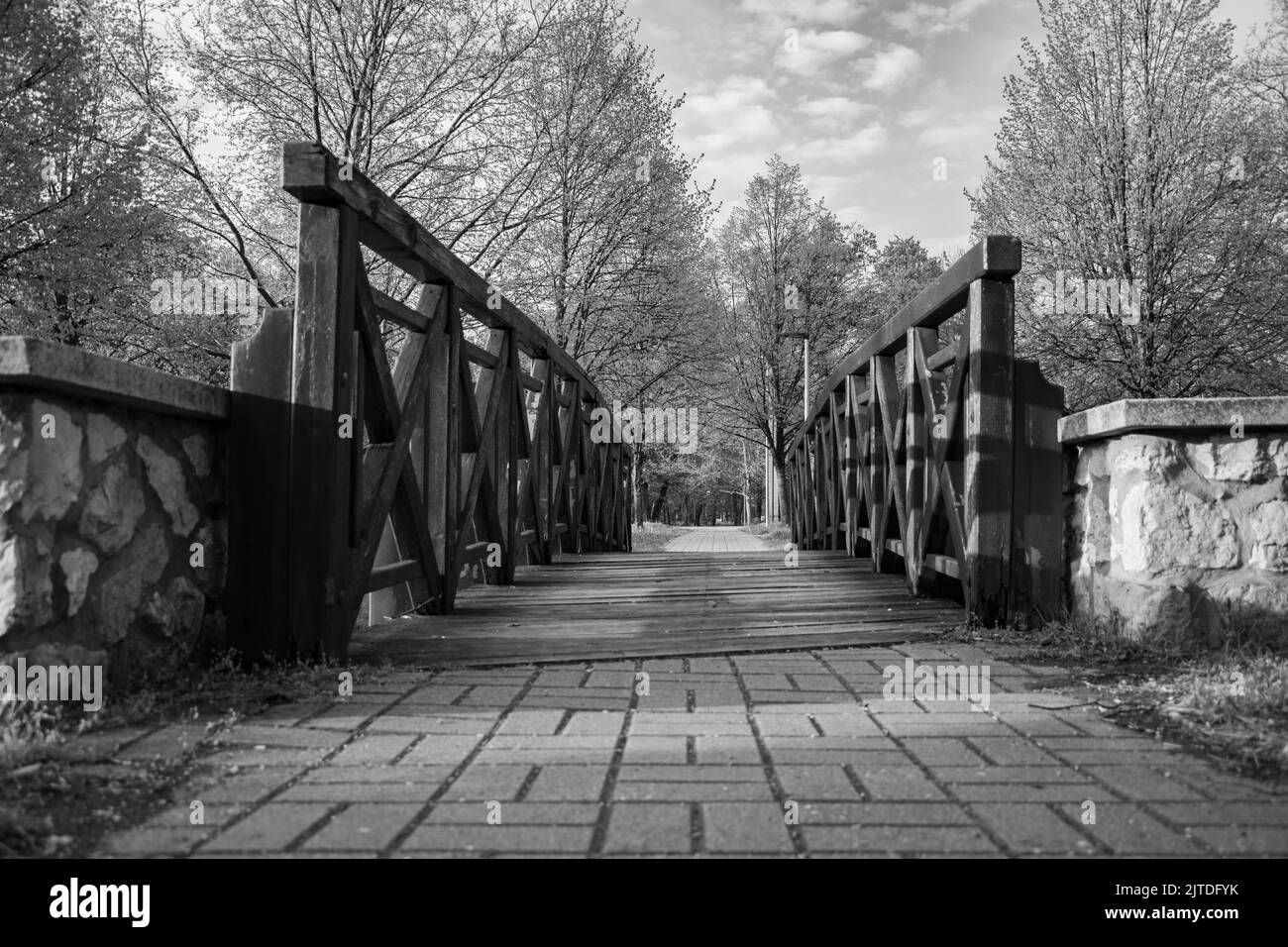 Ponte di legno nel parco Foto Stock