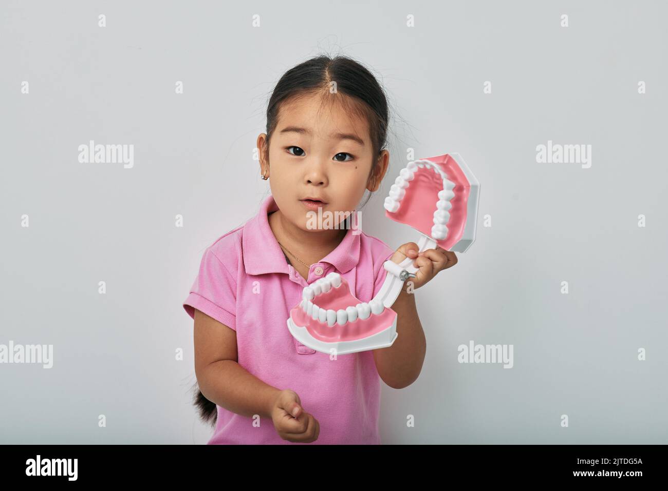 Concetto di salute dentale e cura dei denti per bambini. Cute ragazza coreana bambino che mostra modello anatomico di denti su sfondo grigio Foto Stock