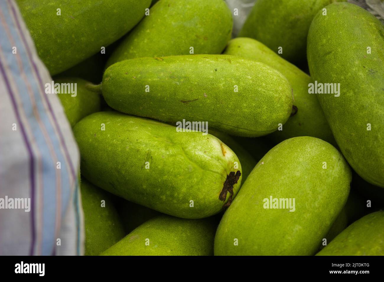 Gli ortaggi sono una delle fonti di reddito primarie per gli agricoltori del Bangladesh. In precedenza era solo per il consumo delle famiglie, ma ora diventano colture cash. Foto Stock