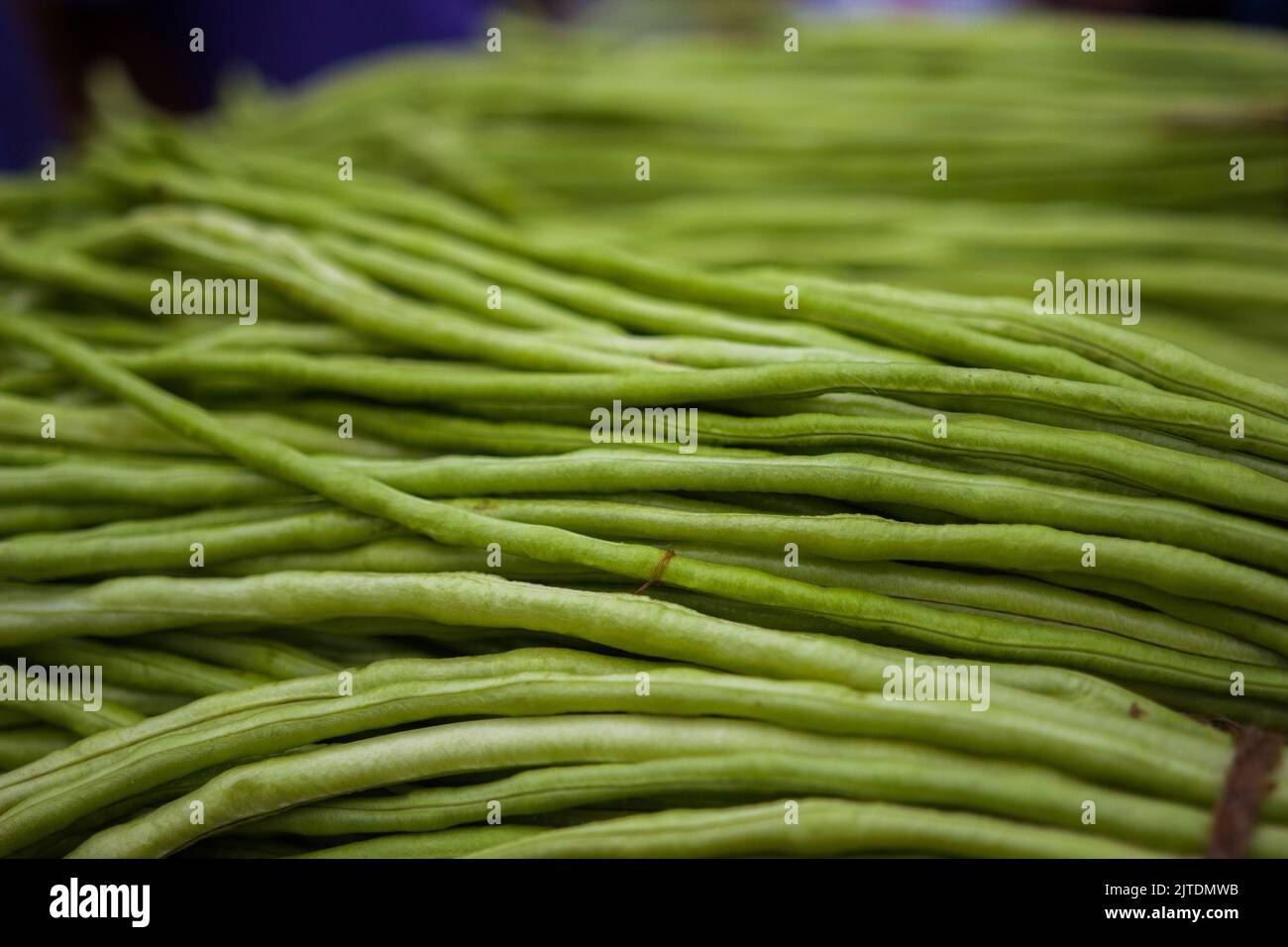 Gli ortaggi sono una delle fonti di reddito primarie per gli agricoltori del Bangladesh. In precedenza era solo per il consumo delle famiglie, ma ora diventano colture cash. Foto Stock