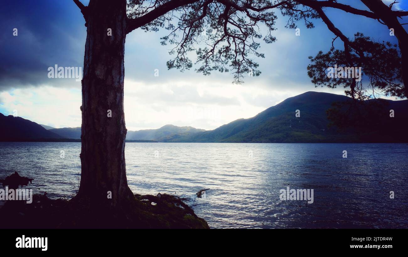Lough Leane sul Ring of Kerry, County, Kerry, Irlanda - John Gollop Foto Stock