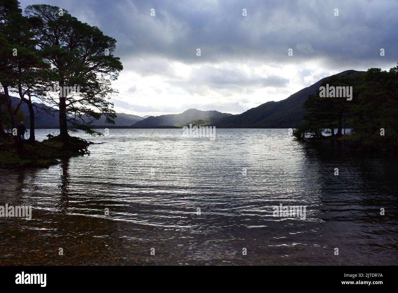 Lough Leane sul Ring of Kerry, County, Kerry, Irlanda - John Gollop Foto Stock