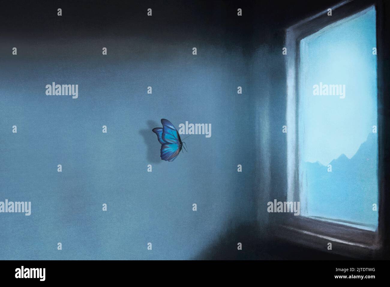 butterfly cerca la via d'uscita da una finestra di una casa, il concetto di libertà Foto Stock