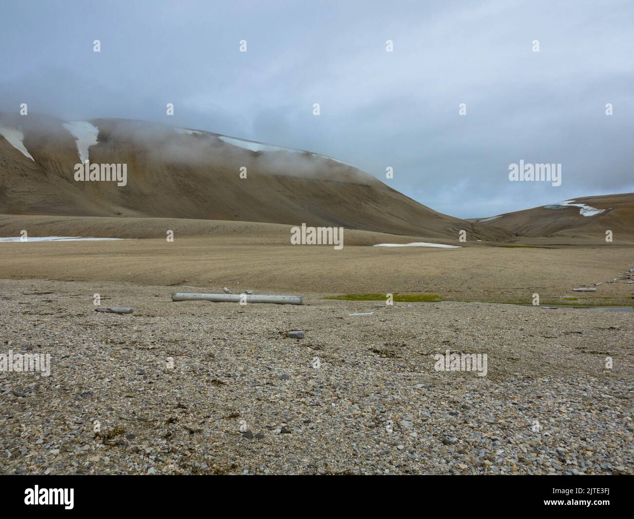 Il fiordo di Wahlenbergfjord è un fiordo del Land Gustav Adolf, nel Nordaustlandet, nello Spitsbergen, una baia meridionale del fiordo di Wahlenbergfjord. Habitat del deserto artico, Svalbard. Foto Stock