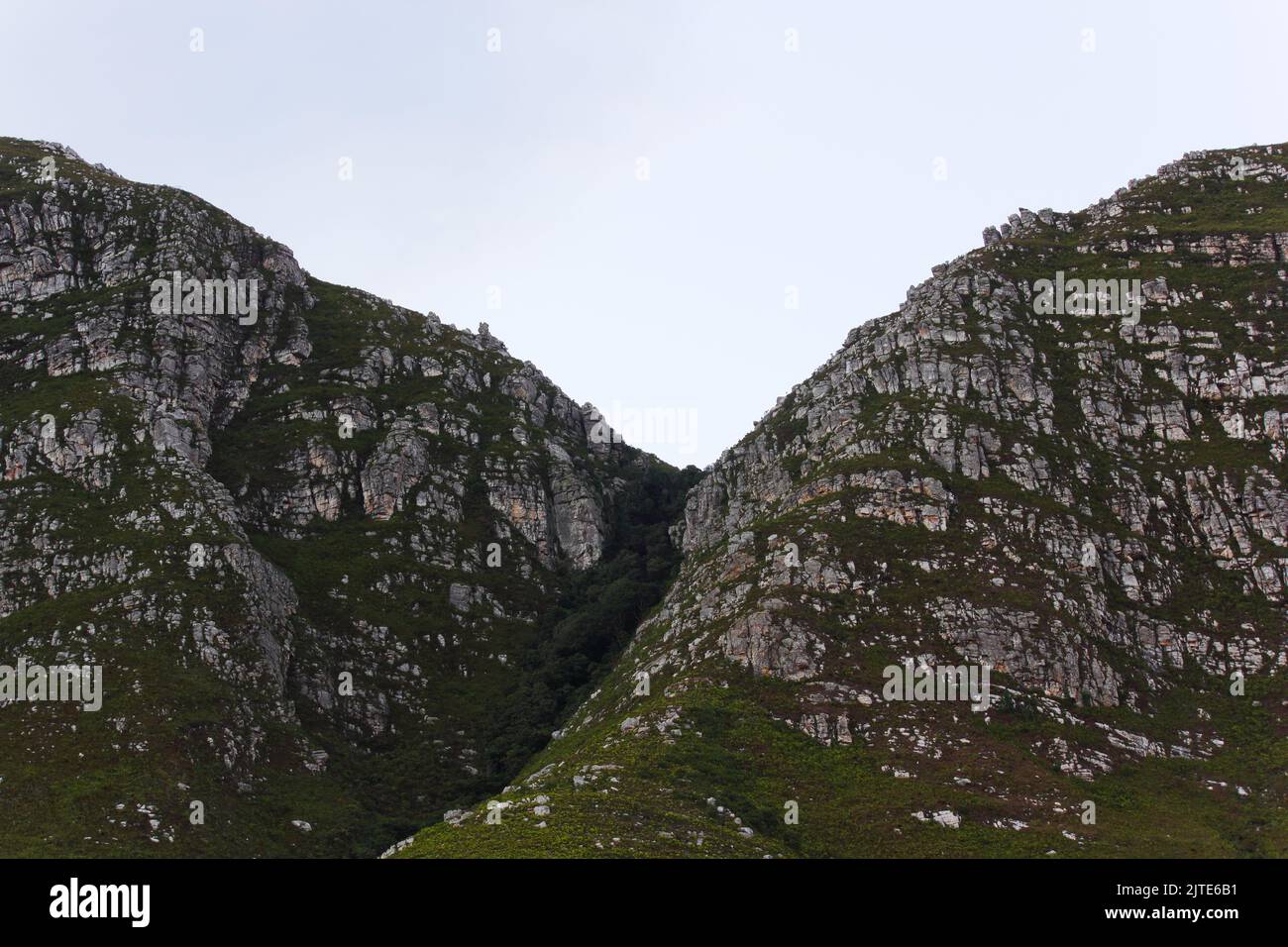 Pass per le Montagne Rocciose coperte dal lussureggiante Green Tree Foto Stock