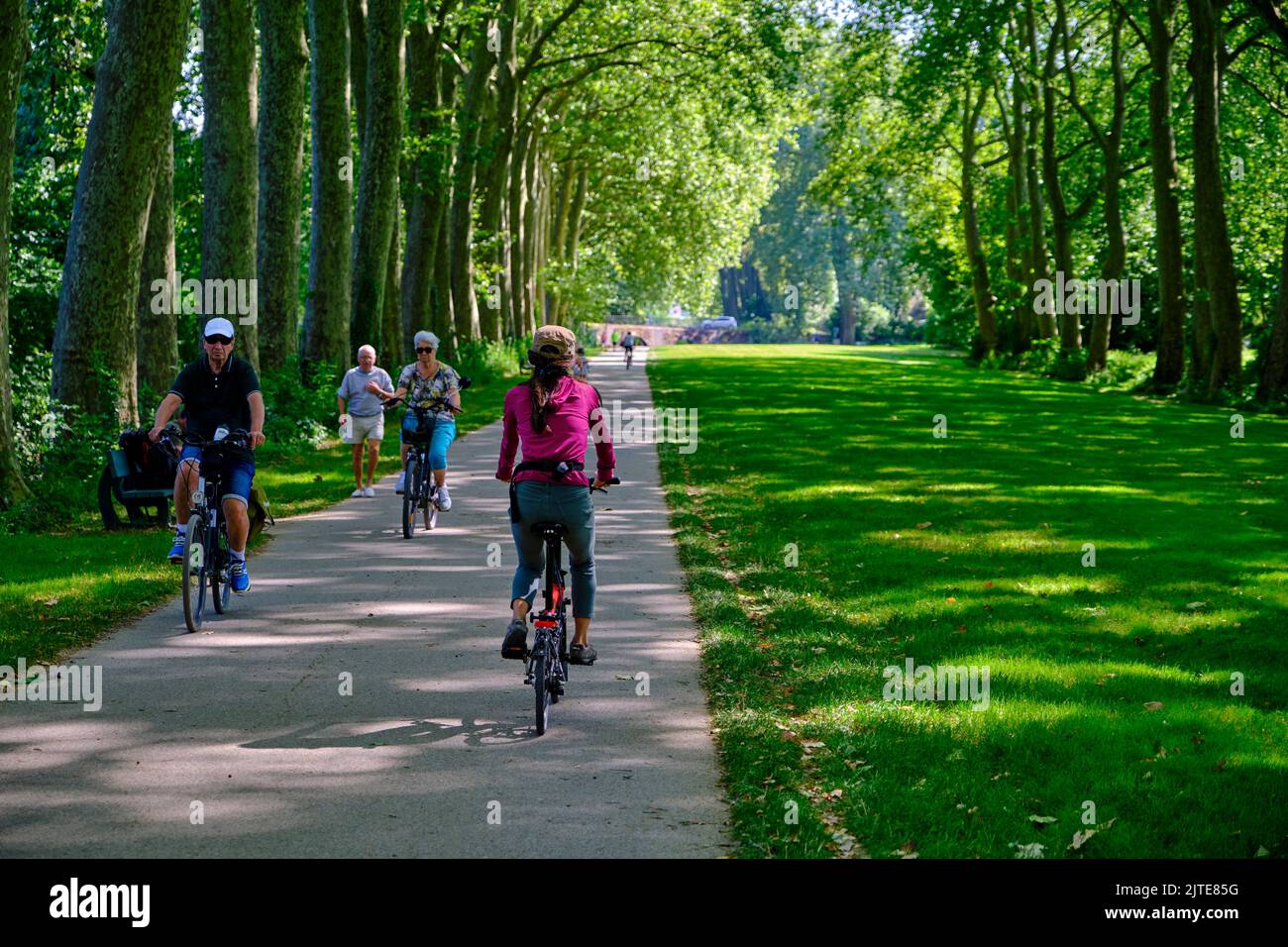 Francia, Cher (18), Bourges, in bicicletta lungo il Canal de Berry e la Trouée verte Foto Stock
