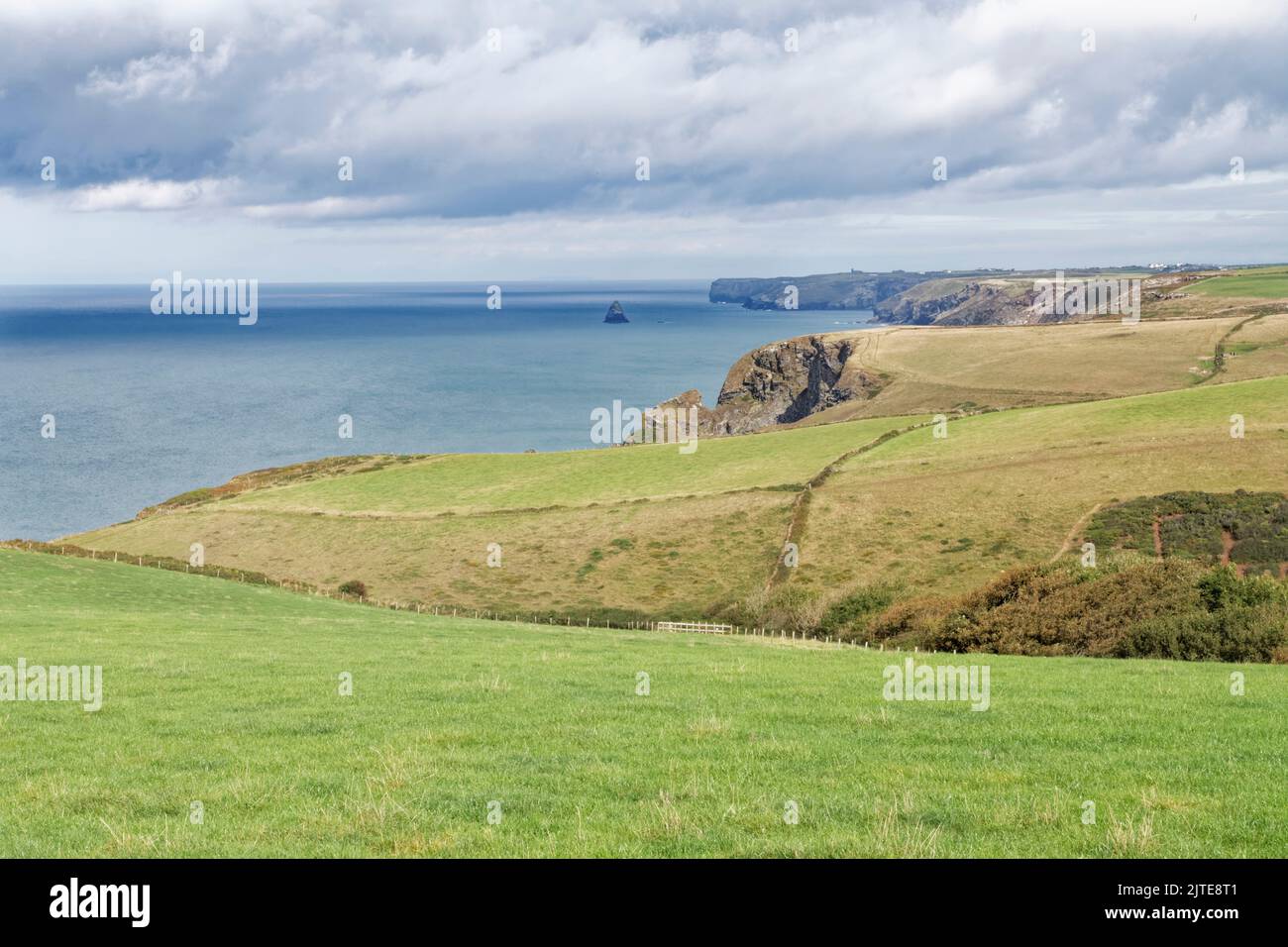 Ondulate pascoli costieri e scogliere che guardano a nord-est verso Gull Rock e Tintagel Head, vicino a Port Isaac, Cornovaglia, Regno Unito, Settembre 2021. Foto Stock