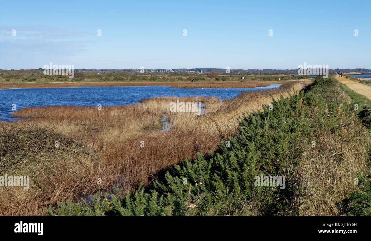 Keyhaven Lagoon e Solent Way, sentiero pedonale sulle pareti del mare, Lymington e Keyhaven Marshes Nature Reserve, Hampshire, Regno Unito, novembre. Foto Stock