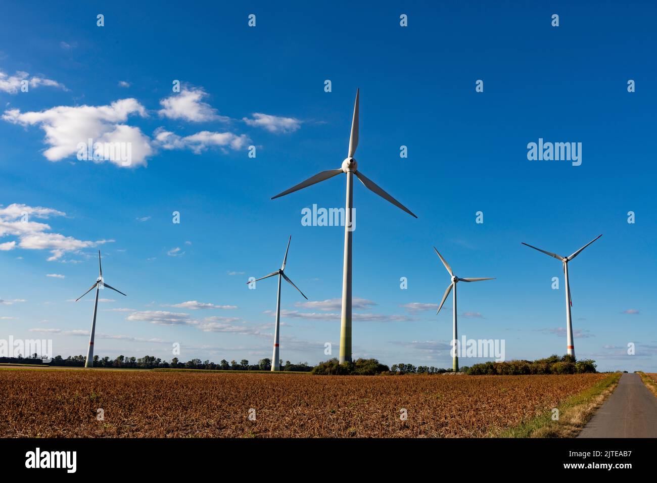 Windkraftanlage a Issum vor blauem Himmel, Erneuerbare energie Foto Stock