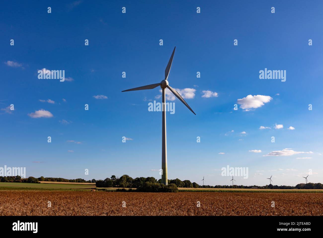 Windkraftanlage a Issum vor blauem Himmel, Erneuerbare energie Foto Stock